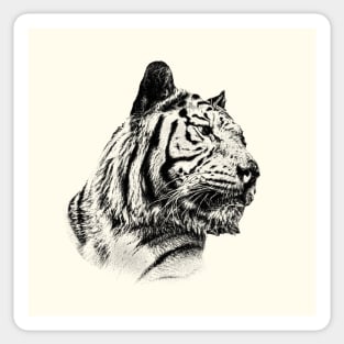 Tiger Sticker